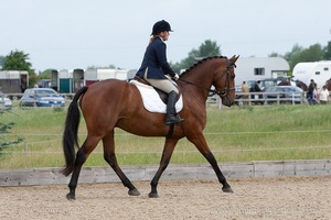 Class 2 (Prelim 15)